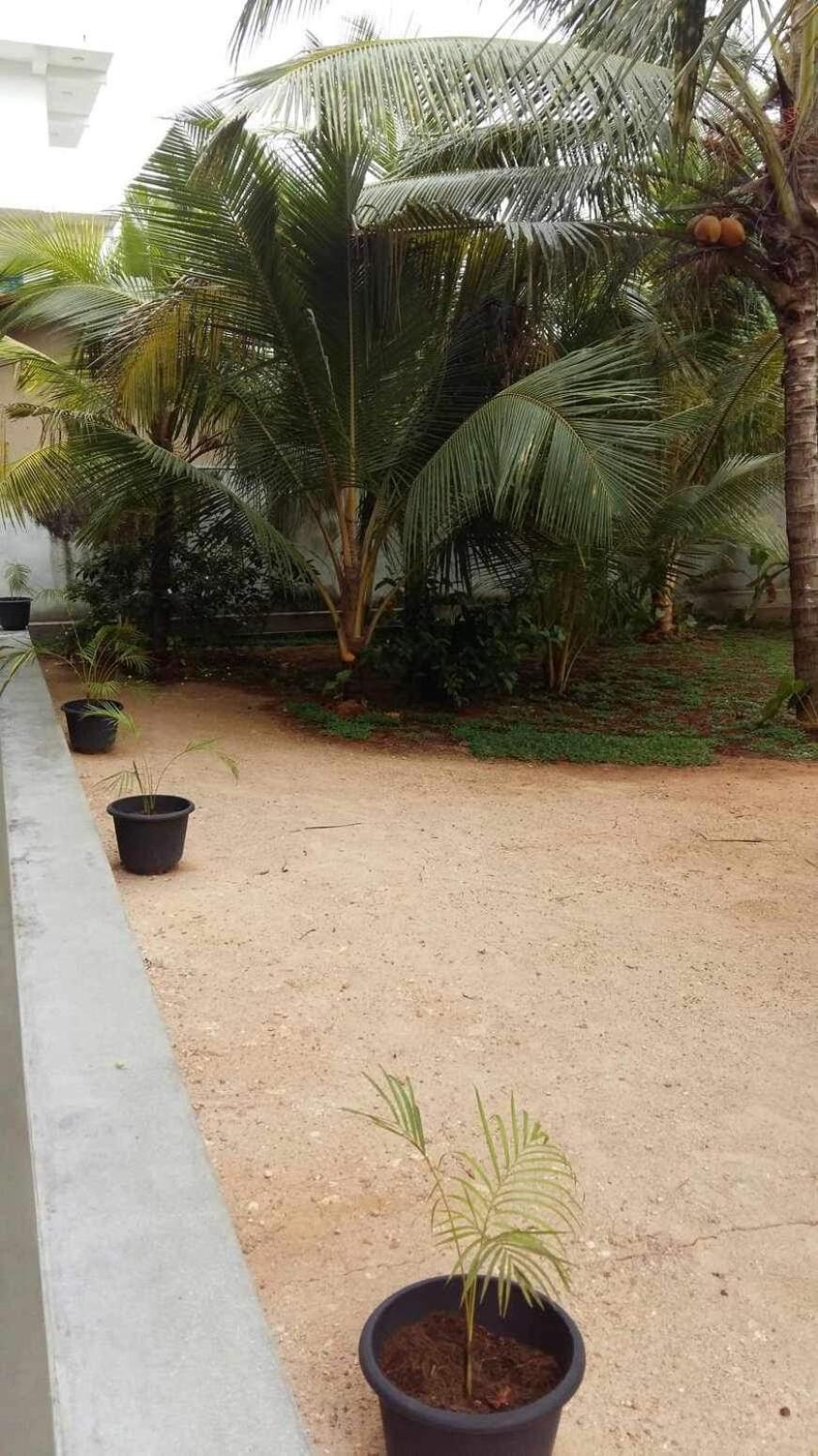 New Ocean Breeze Madiha Hotel Matara Bagian luar foto