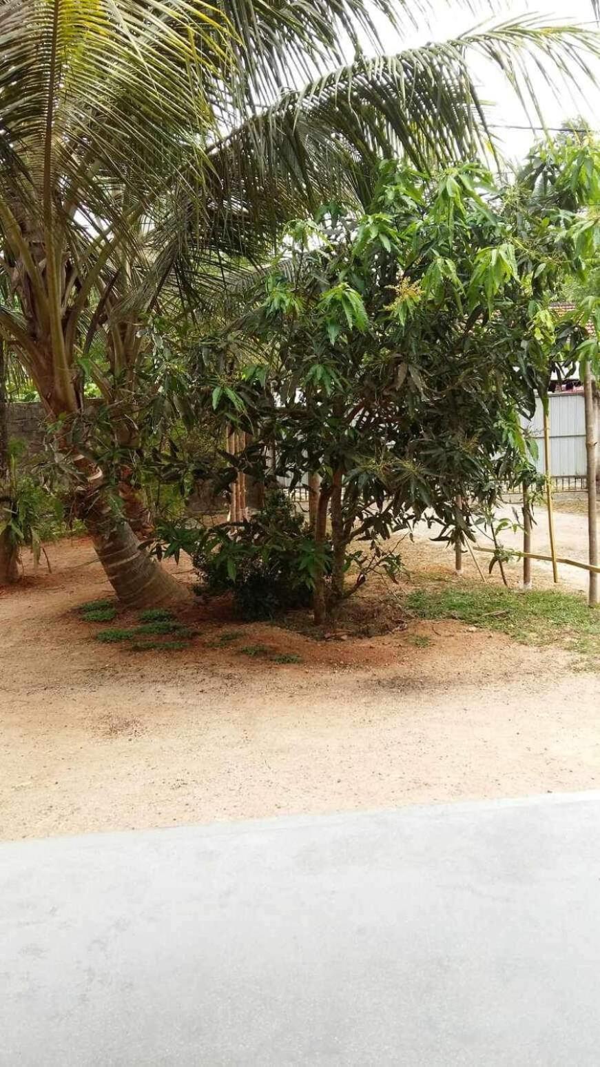 New Ocean Breeze Madiha Hotel Matara Bagian luar foto